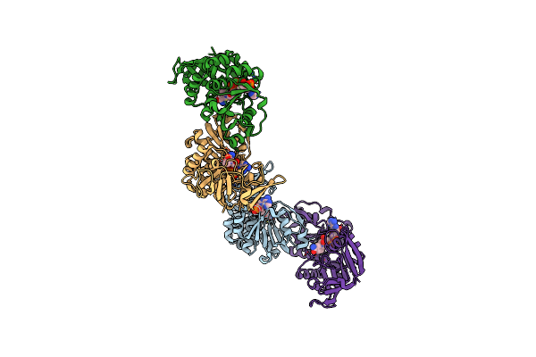 1O8C image