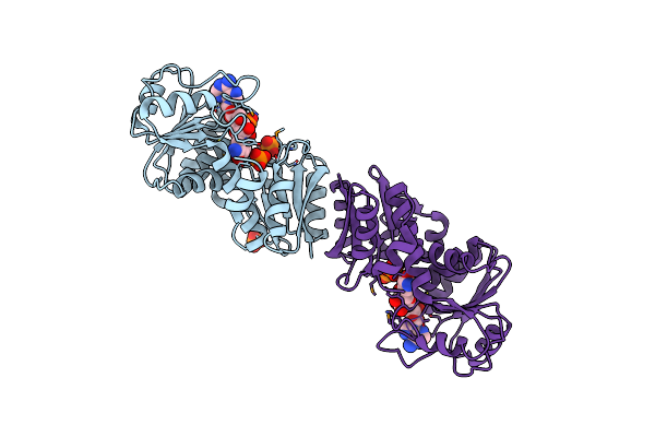 1O9B image