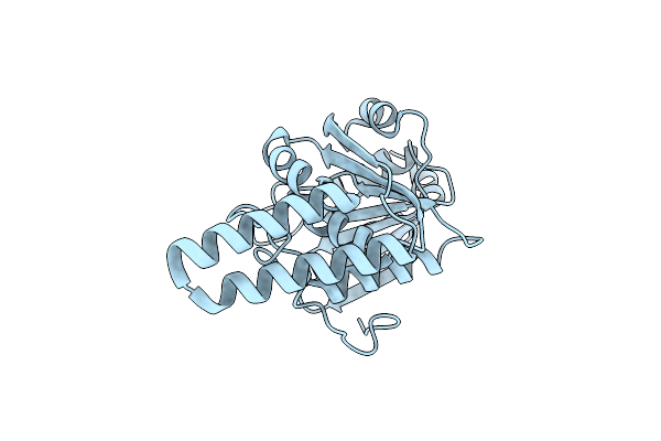 1O9H image