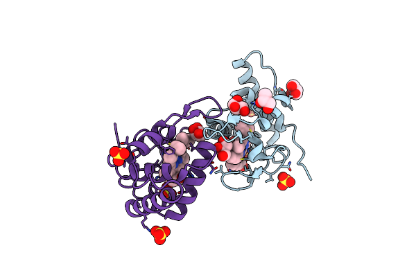 1OAE image
