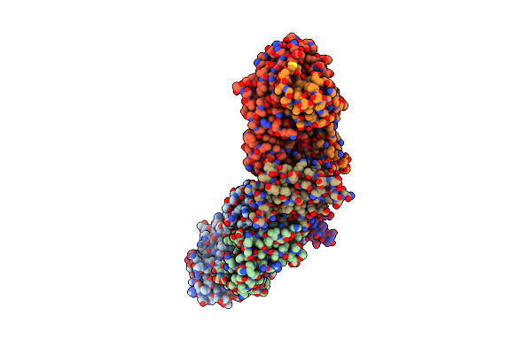1OB1 image