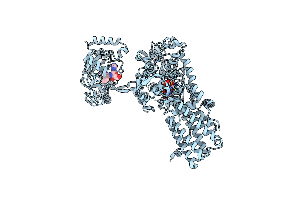1OBC image