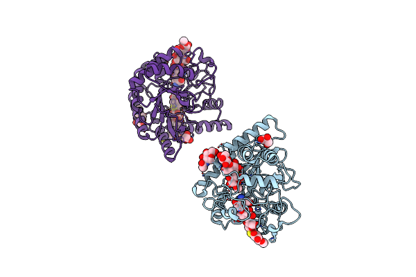 1OCB image