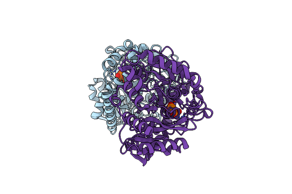 1OCM image