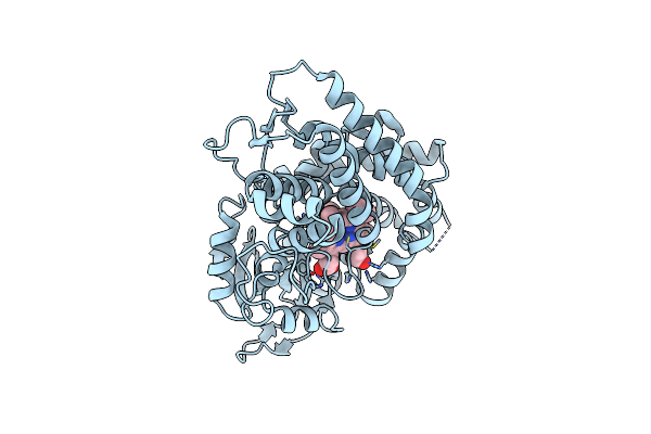 1ODO image