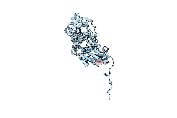 1OE1 image
