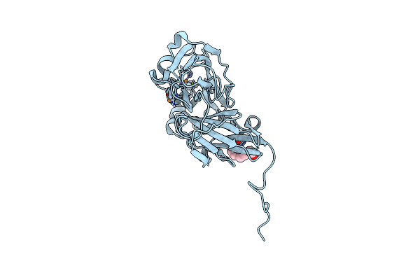 1OE2 image
