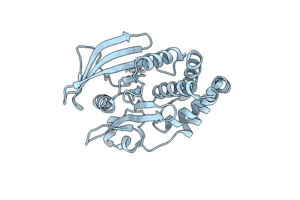 1OEM image
