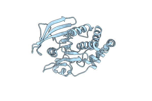 1OEO image