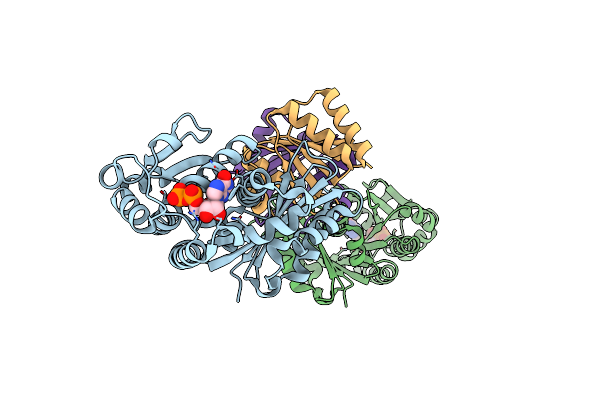 1OFU image