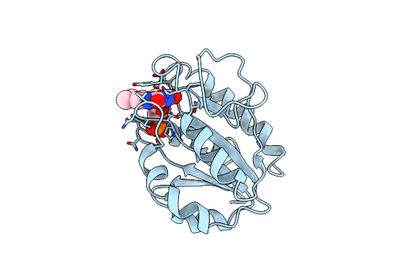 1OFV image
