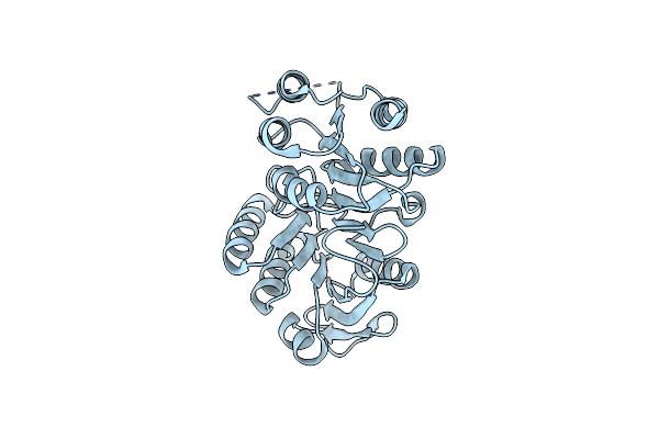 1OI7 image