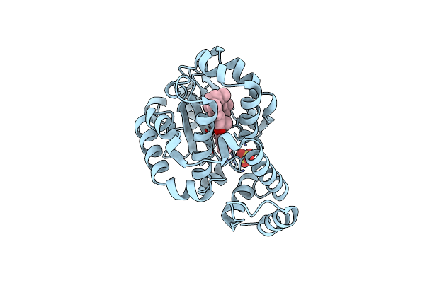 1OIP image