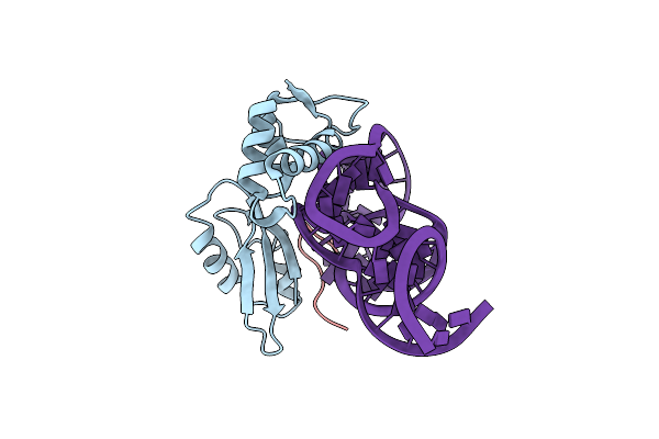 1OLN image