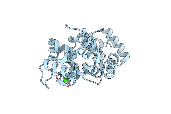 1OMR image