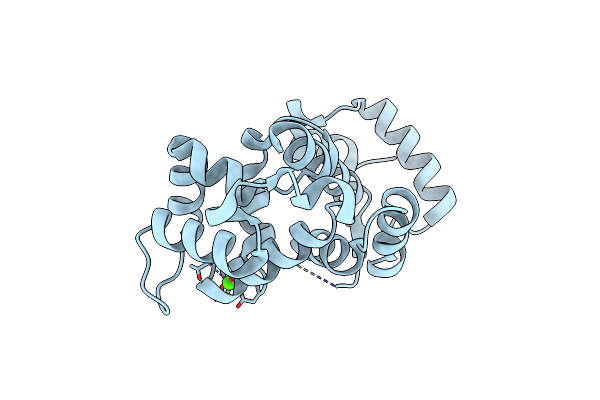 1OMV image