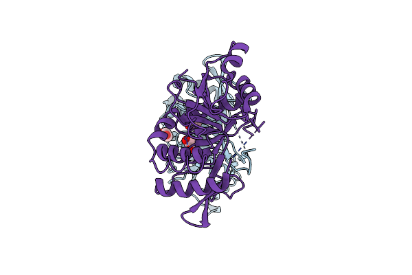 1OMX image