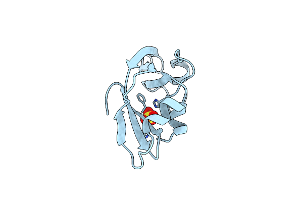 1ONC image
