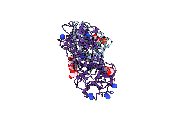 1ONK image
