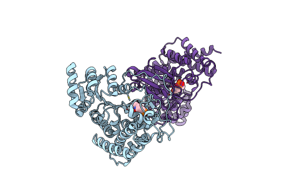 1ONP image