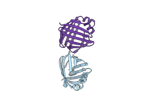 1OPA image