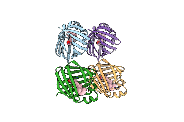 1OPB image