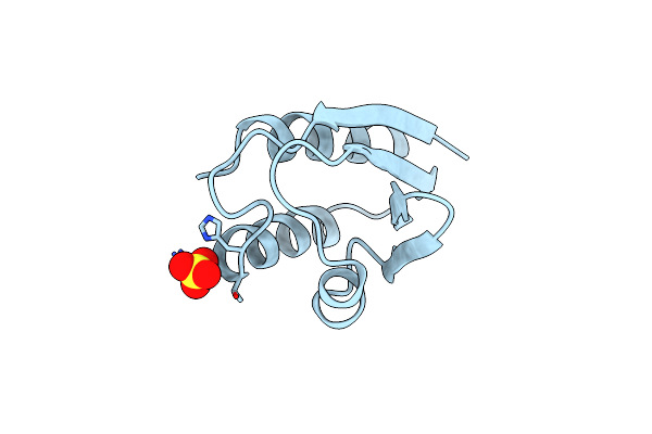 1OPD image