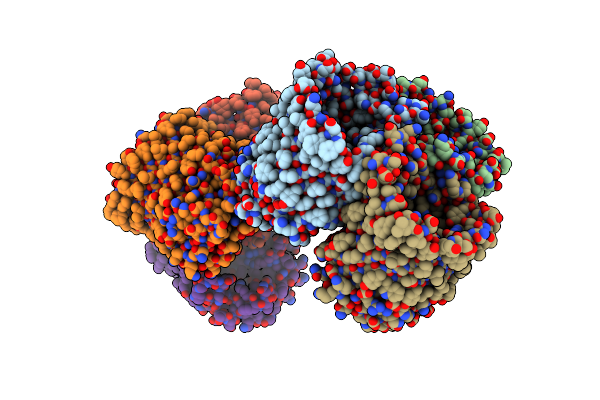 1OPF image