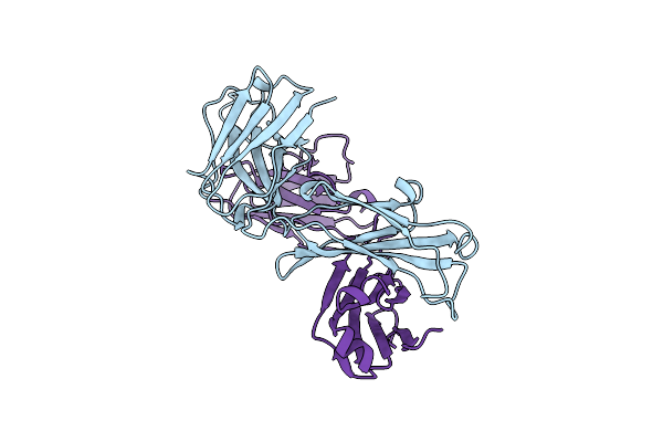 1OPG image