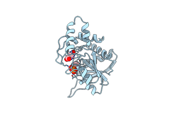 1OPR image