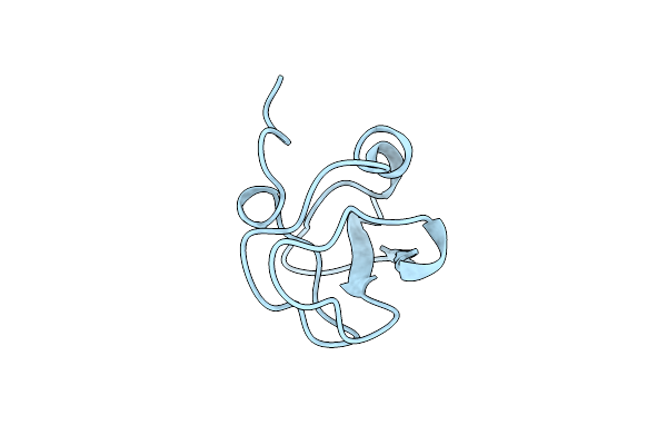 1OPS image