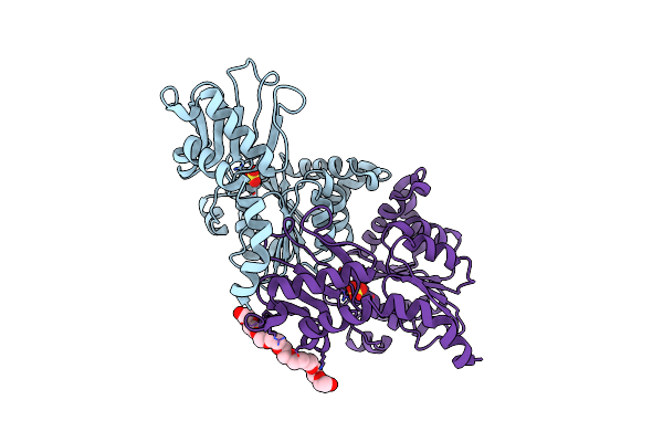 1OPX image