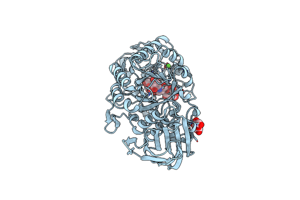 1OSE image