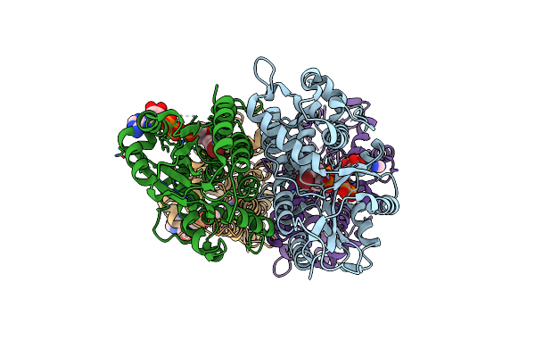 1OSN image