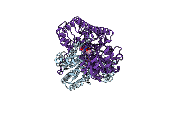 1OXO image