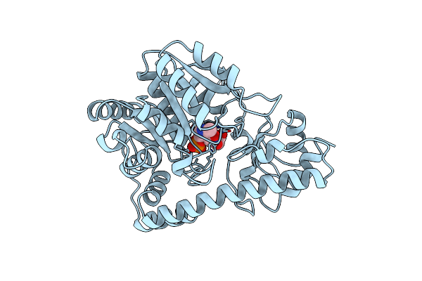 1OXP image