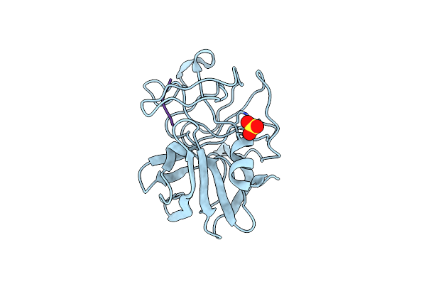 1P04 image