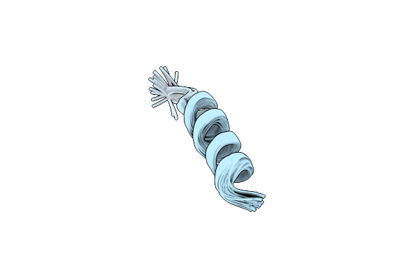 1P0L image