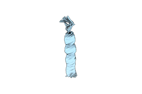 1P0O image