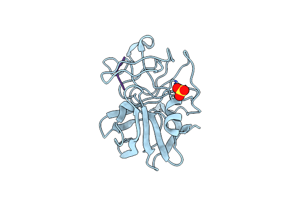 1P10 image
