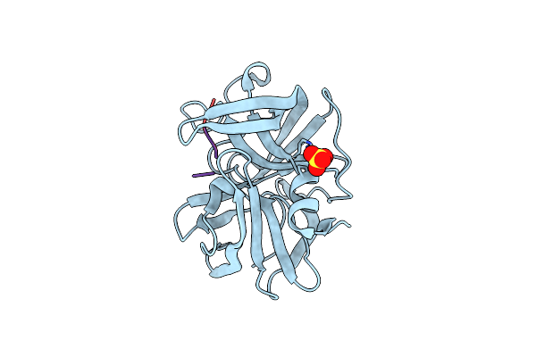 1P11 image