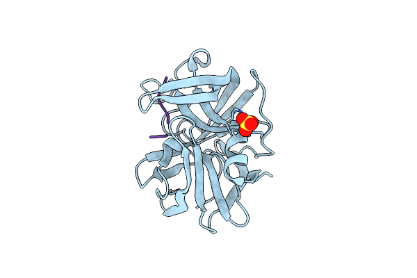 1P12 image