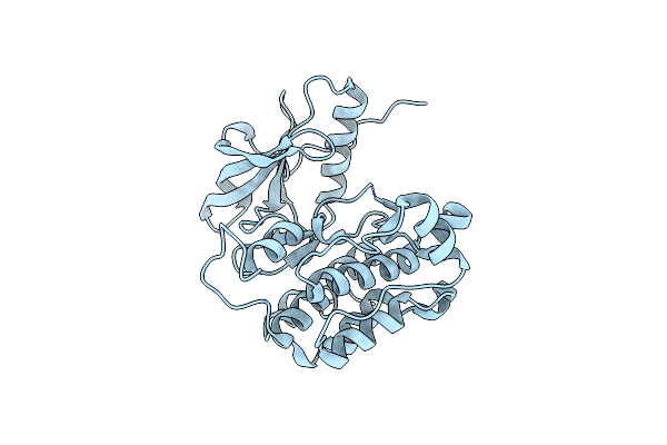 1P14 image