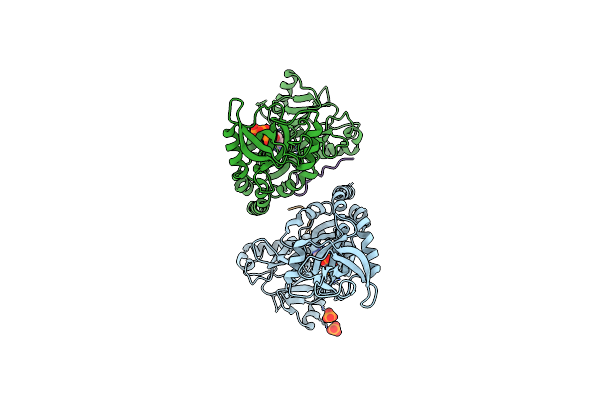 1P16 image