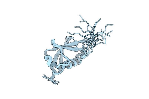 1P1A image