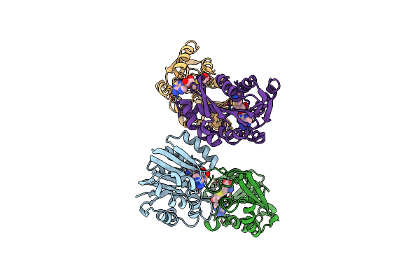 1P1B image