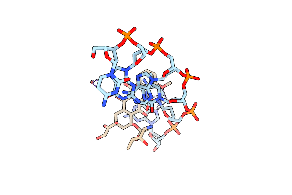 1P20 image