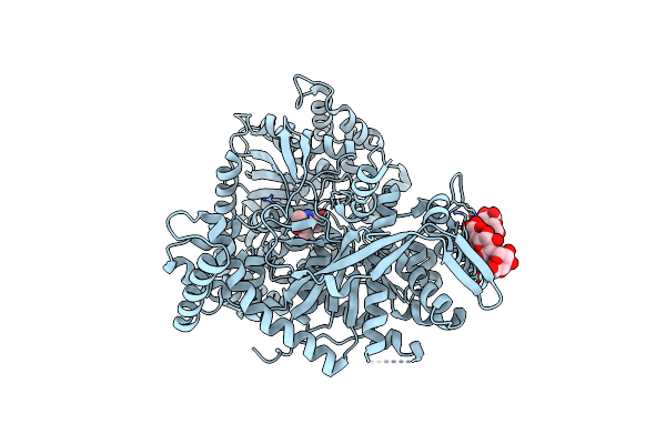1P2B image