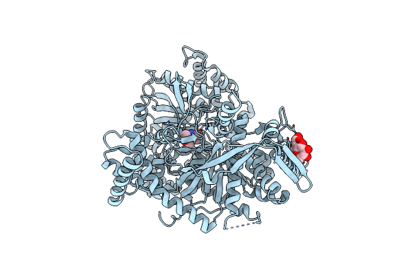 1P2D image