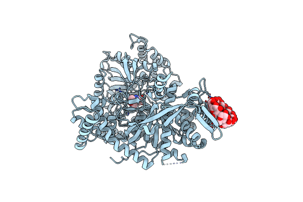 1P2G image